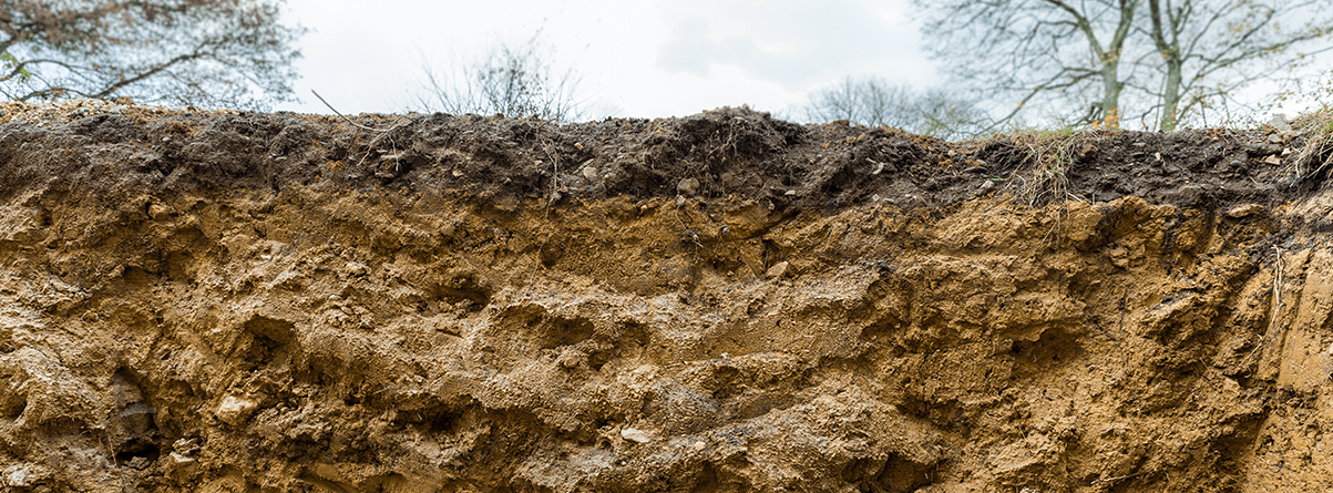 bank of clayey soil